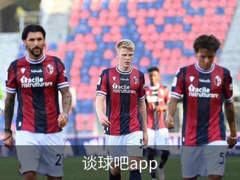谈球吧app概况